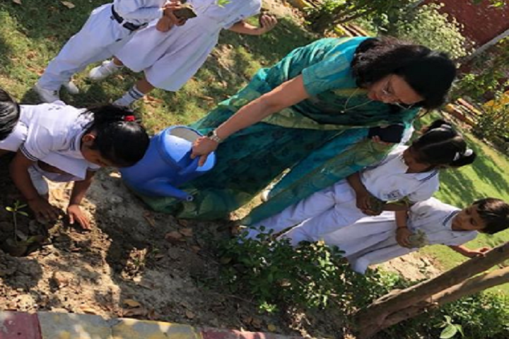 Indira Gandhi Public School-Plantation
