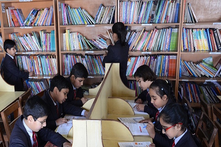 Indus Public School-Library
