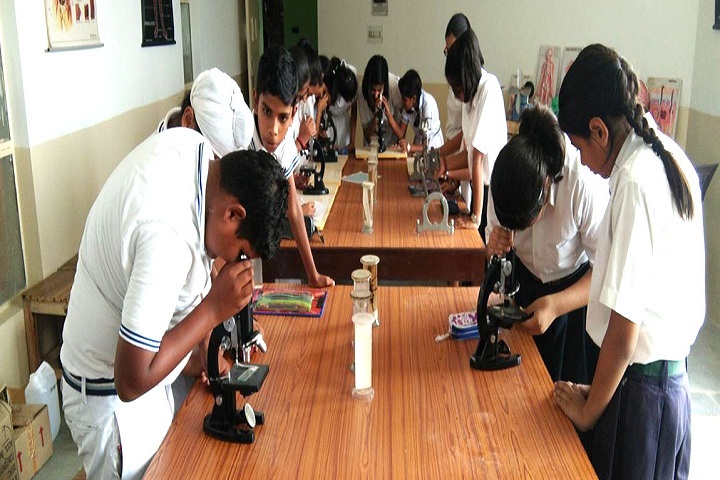 Indus Public School-Lab