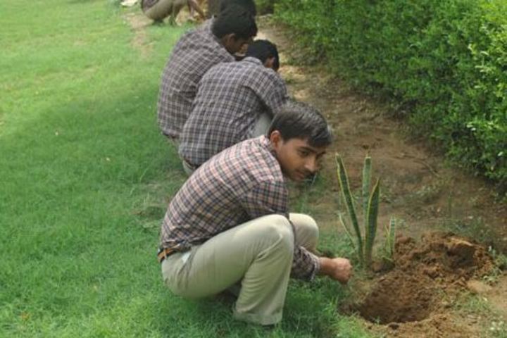 J J School Of Education-Tree Plantation