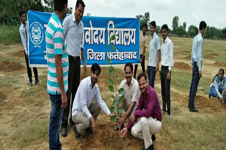 Jawahar Navodaya Vidyalaya-Plantation