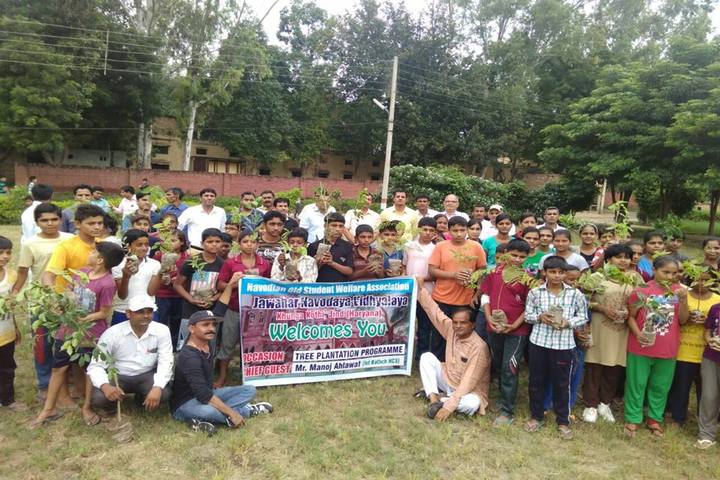Jawahar Navodaya Vidyalaya-Tree Plantation