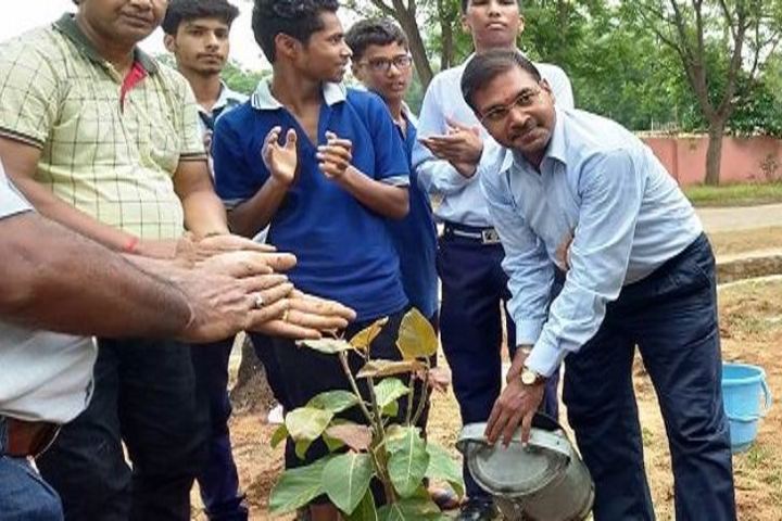 Jawahar Navodaya Vidyalaya-Tree Plantation