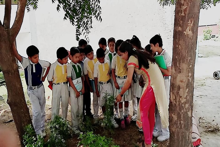 Jkp International School-Plantation