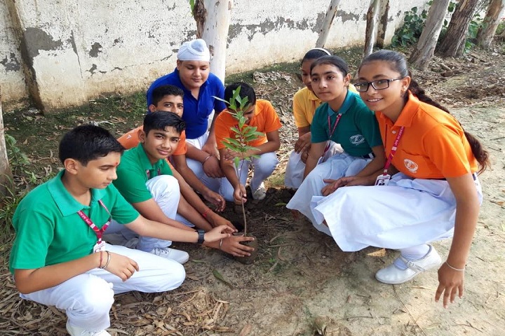 Jps Academy-Plantation