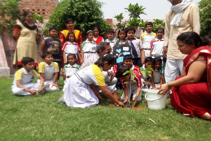 KN Senior Secondary School-Plantation