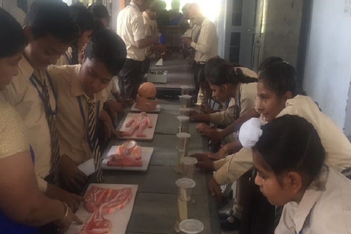 Kamala Montessori School-Bio Labs