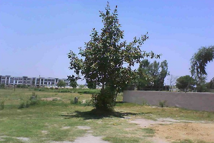 Kendriya Vidyalaya-Campus Outside View