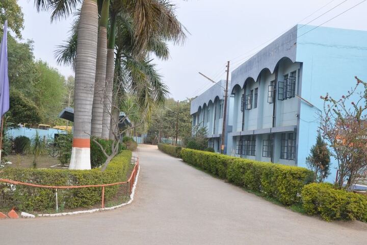 Kendriya Vidyalaya No 2-School Way
