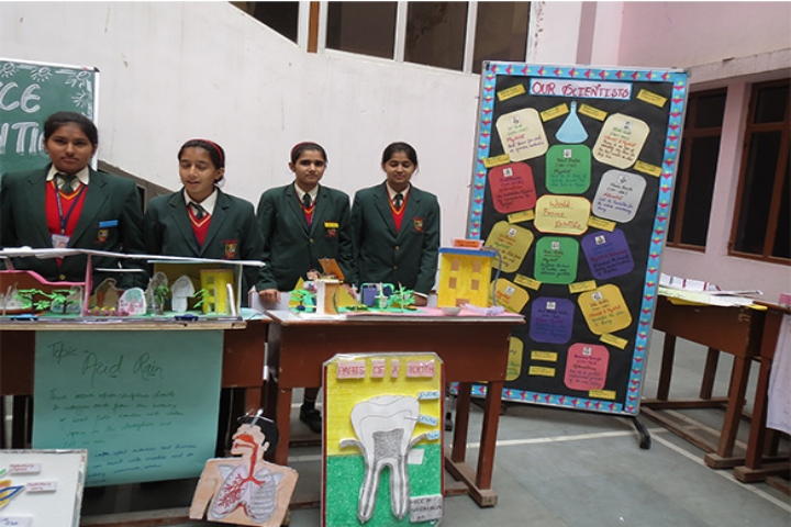 Science Exhibition View of Laxmi International School Manesar