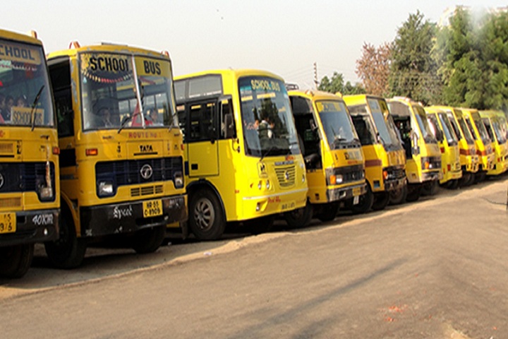 Lion Public School-Transport