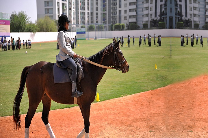 Lotus Valley International School-Raiding