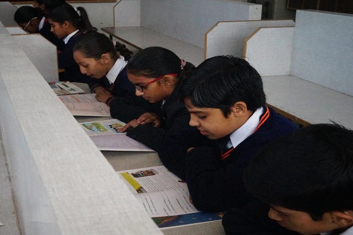 MSD Springbells Public School-Library