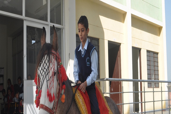 Maharani Lakshmi Bai Trilok Chand School-Raiding