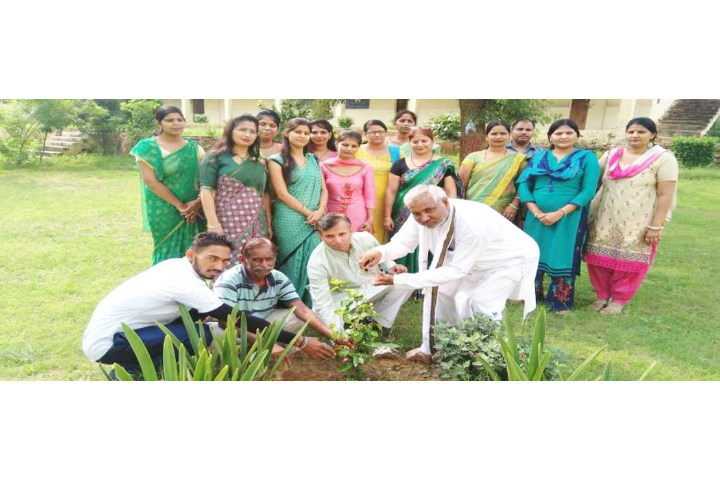 Maharishi Vidya Mandir Public School- Gurugram- Tree Plantation