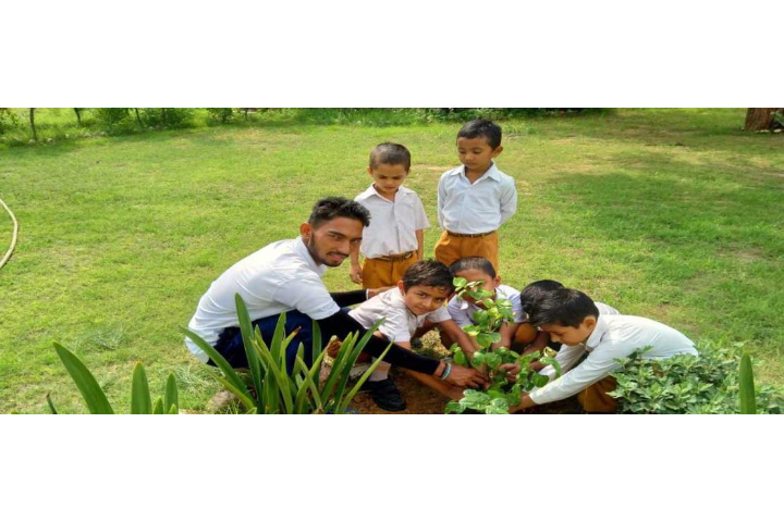 Maharishi Vidya Mandir Public School- Gurugram- Tree plantation