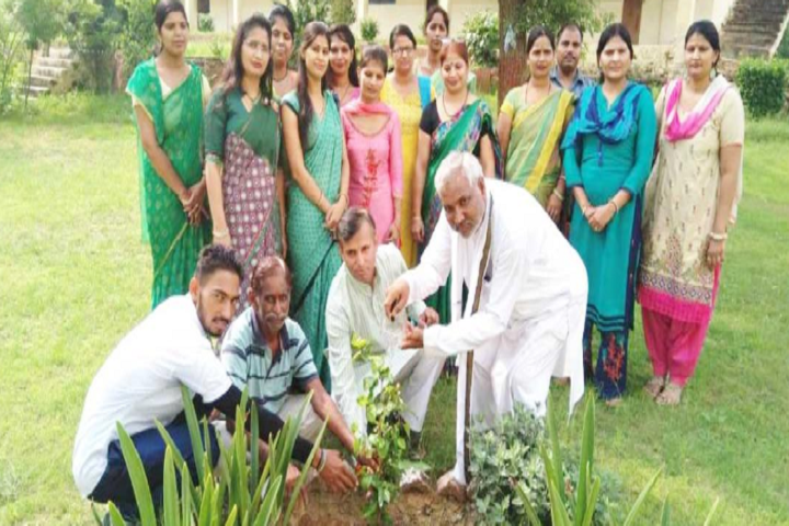 Maharishi Vidya Mandir Public School-Plantations