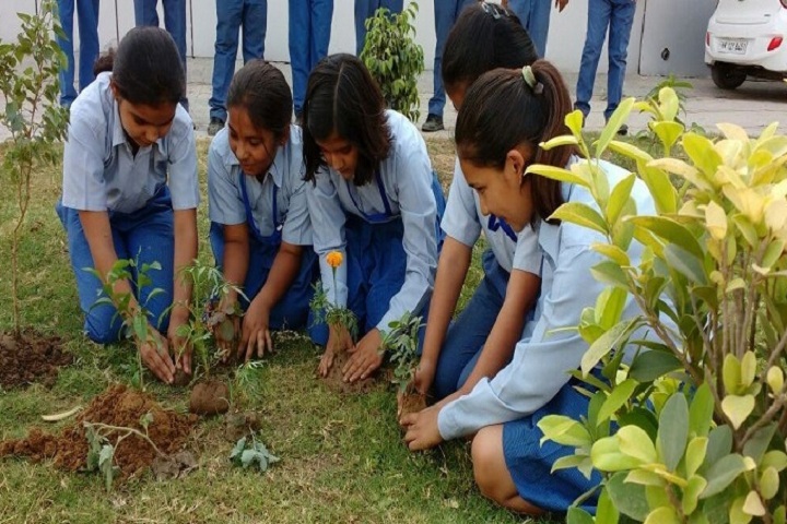 Manav Rachna Global School-Tree Plantation