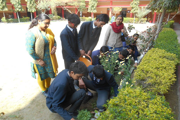 Mata Punna Devi Dav Public School-Plantations