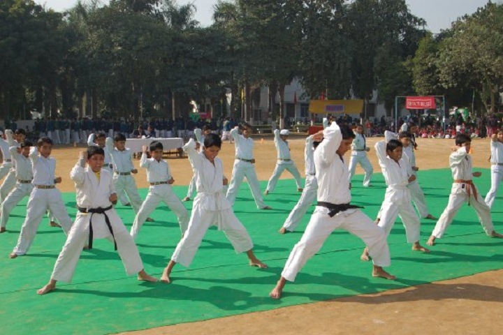 Mukand Lal Public School-karate