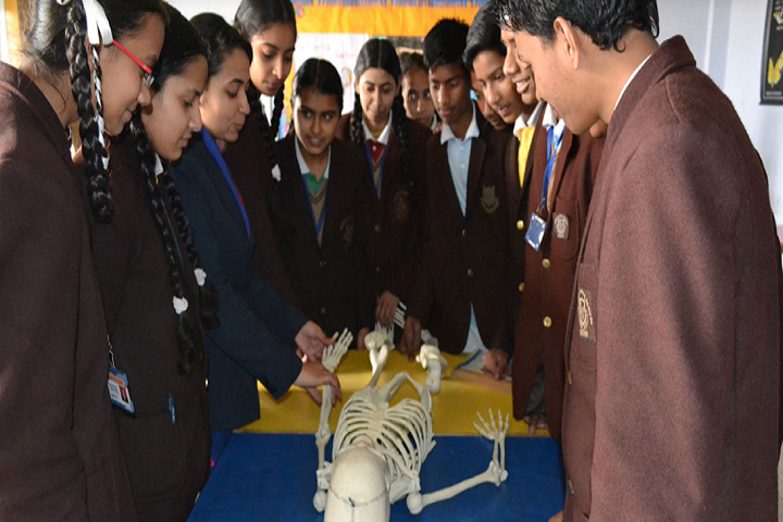 New Happy Public School-Biology Lab