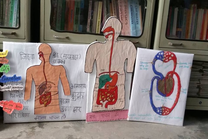 Paramhansa Senior Secondary School-Science Exhibition