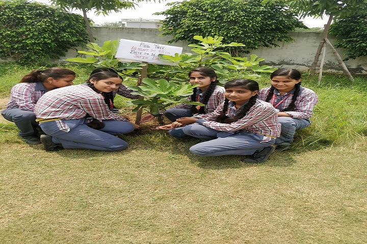 Paramhansa Senior Secondary School-Tree Plantation