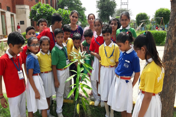Pathfinder Global School-Tree plantation