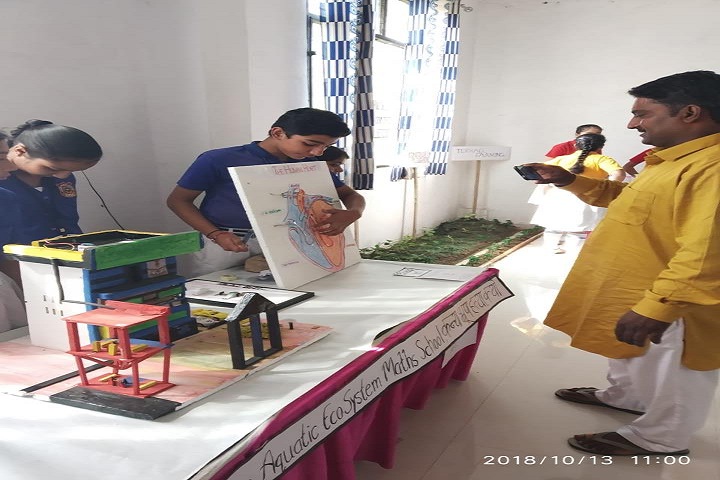 Pratap Public School-Exhibition