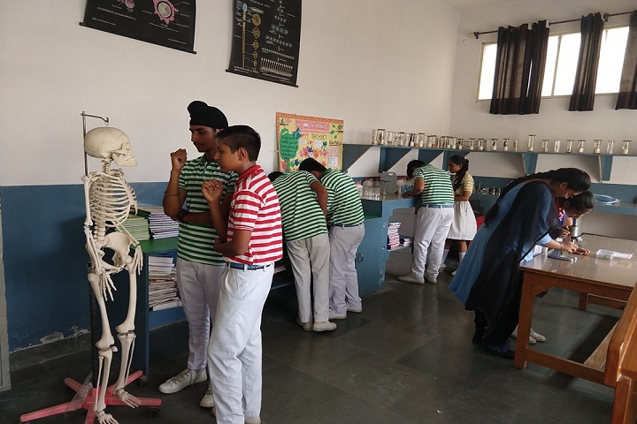 Ram Prasad Dav Public School-Biology Lab