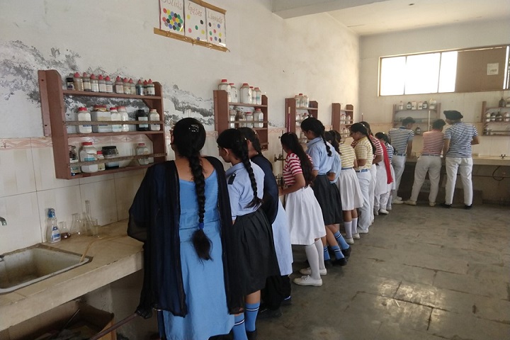 Ram Prasad Dav Public School-Chemistry Lab