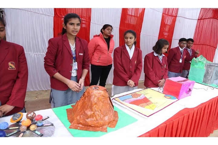 Rao Bane Singh Memorial High School-Science Exhibition