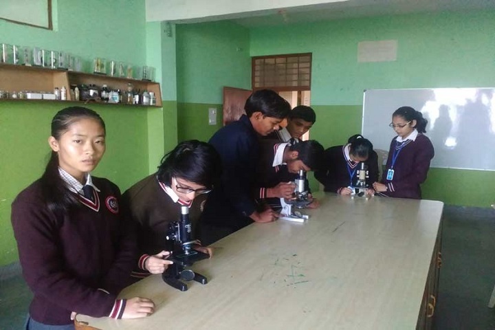 Rao Khem Chand Vidya Vihar Senior Secondary School-Biology Lab