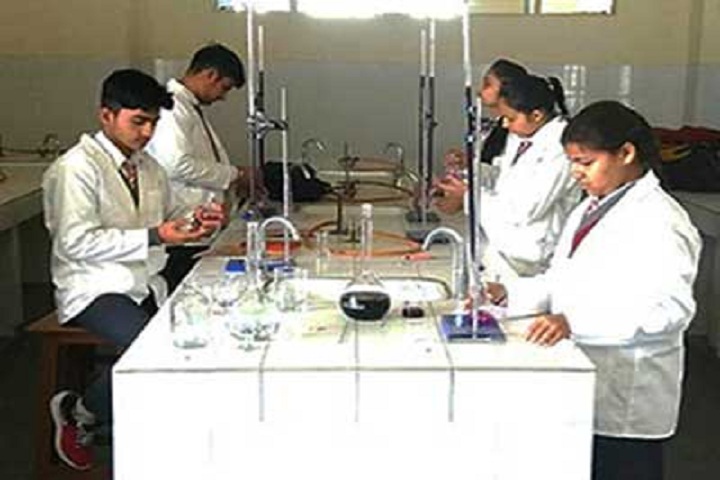 Red Roses Public School-Chemistry lab