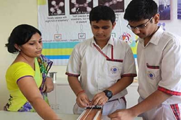 Red Roses Public School-Physics Lab