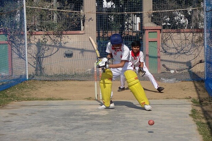 Red Roses Public School-Playground