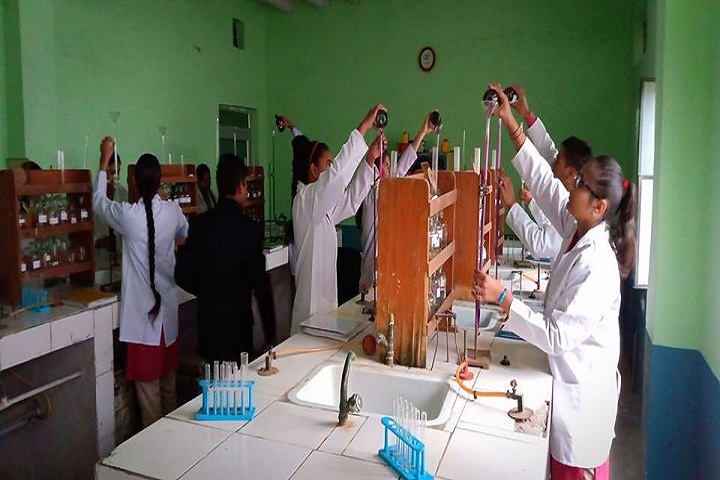 Rishikul Arya Public School-Chemistry Lab