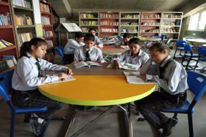 Rishikul World Academy-Library