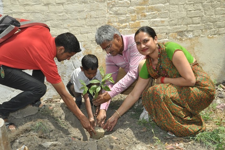 S D Maruti Nandan Vidya Mandir-Tree Plantation
