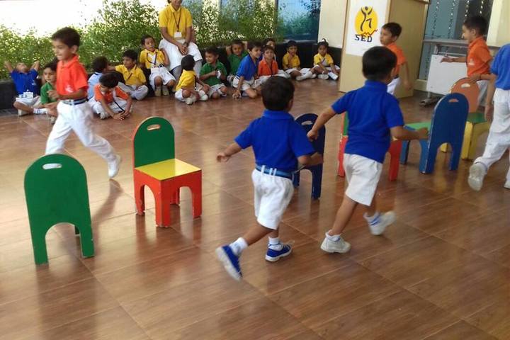 S E D Senior secondary School-Classroom Activity