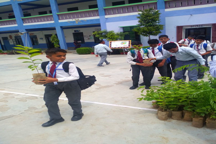 S B S Jovial Child Senior Secondary School-Environment Day