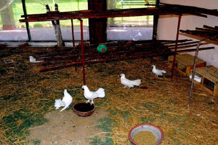 S D Memorial High School-School Zoo