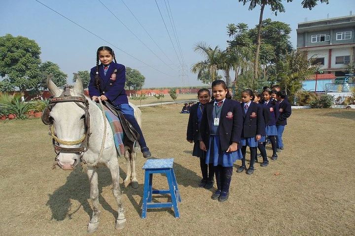 Saint Vivekanand International School-Horse Riding Activity
