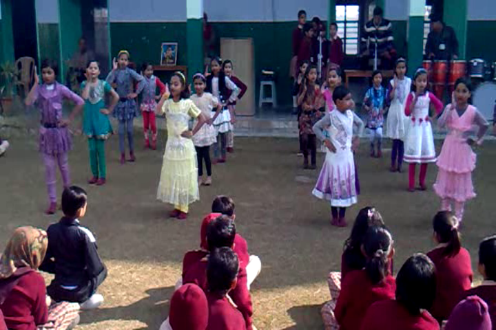 Sanadan Vidya Niketan Public School-Dancing Activity