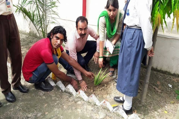 Sanskar International School-Tree Plantation Day