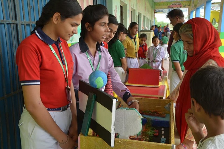 Sanskar Vidya Peeth Senior Secondary School-Science Exhibition
