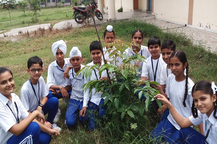 Sant Ishar Singh Academy-Others plantation