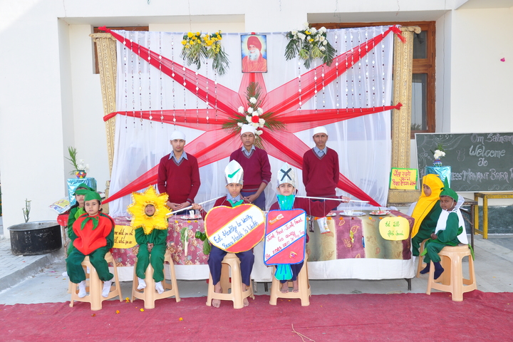 Sant Nikka Singh Public School-Activity