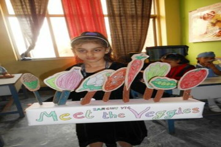 Sant Nischal Singh Public School-Activity