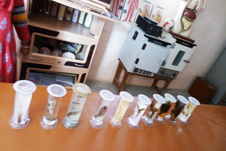 Sapient Senior Secondary Public School-Biology Lab